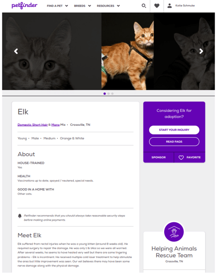 A Petfinder Profile of Elk