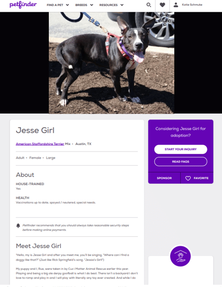 A Petfinder Profile of Jesse Girl