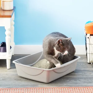 Petmate Litter Pan, Color Varies, Large