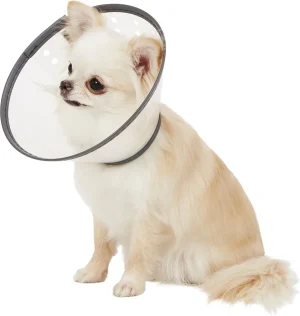 Dogswell Remedy+Recovery Dog E-Collar, S