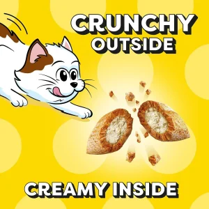 337245_PT2._AC_SL1200_V1714566475_