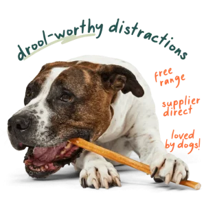 BullySafe Chews - Pure Collagen - 10pk 6in