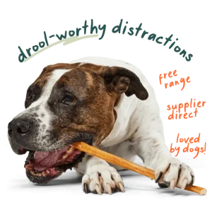 BullySafe Chews - Bully Stick - 5pk 12in