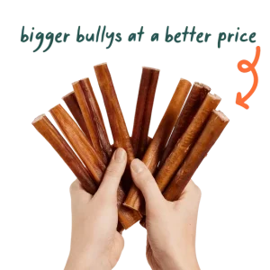 230105_Bully-sticks_PDP-Gallery-images_05C_1