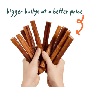 230105_Bully-sticks_PDP-Gallery-images_05C_1