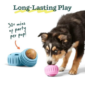 Woof_Pops_Birthday_Gallery_1200x1200_4