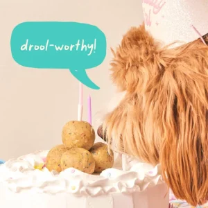 Woof_Pops_Birthday_Gallery_1200x1200_5