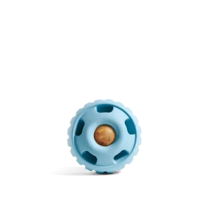 Pupsicle 'Birthday' Blue XL