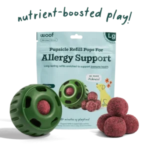 Allergy Support Wellness Pops Large