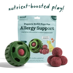 Allergy Support Wellness Pops XL