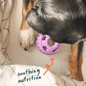 Woof_WellnessLaunch_Site_PDP-Gallery_Pops_Calming_1200x1200_4