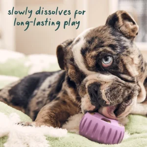 Woof_WellnessLaunch_Site_PDP-Gallery_Pops_Calming_1200x1200_5