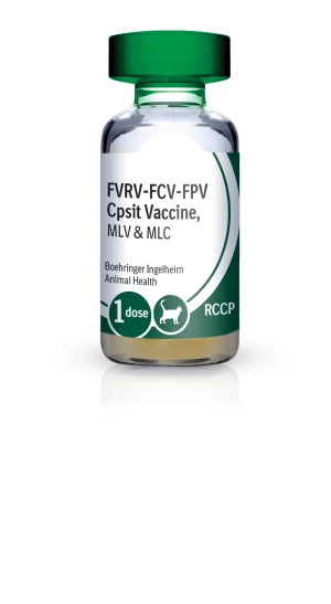PureVax Feline 4 (RCCP)