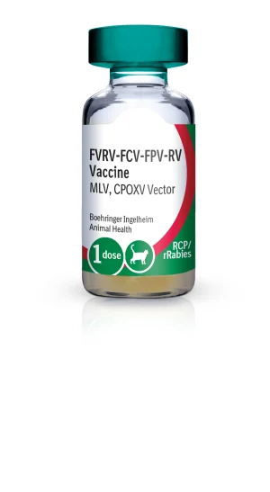 PureVax Feline 3 / Rabies (RCP + rRabies-1YR)